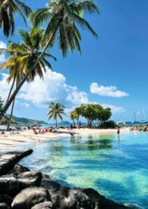 Plage de Martinique – sable blanc et cocotiers
